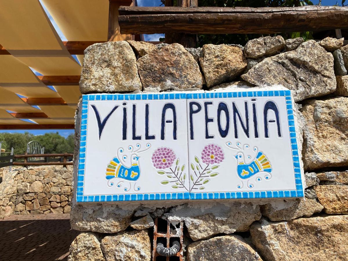 Villa Peonia Будони Екстериор снимка